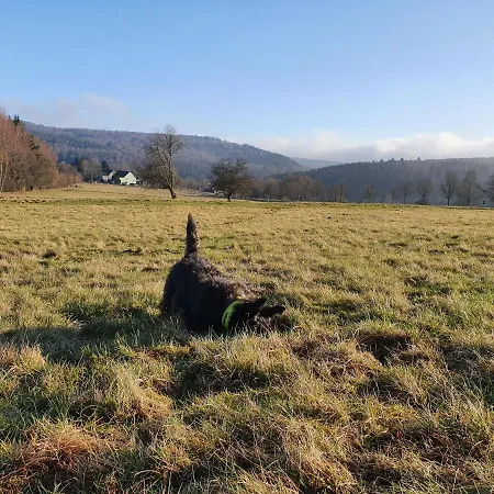 Nyaraló Nationalpark Sophia-luisa Borfink