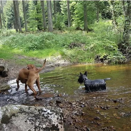 Nationalpark Sophia-luisa Casa vacanze