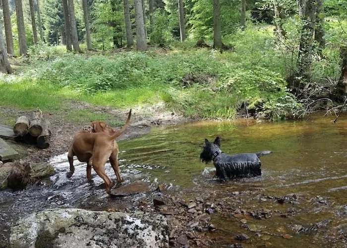 Nationalpark Sophia-luisa Semesterbostad